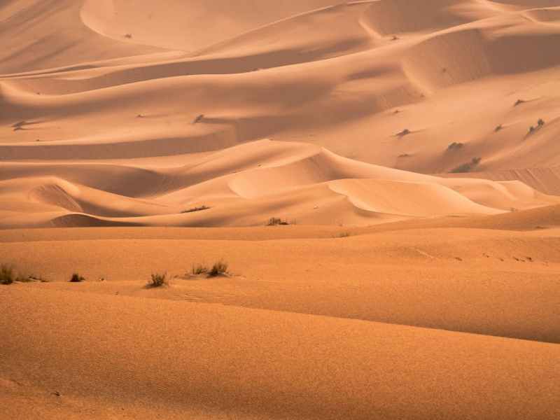 Sobre a Doença de&nbsp;Sjögren